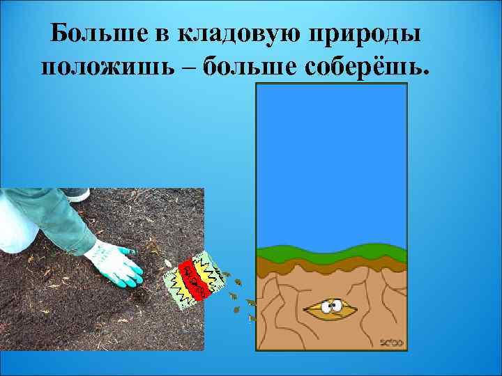 Больше в кладовую природы положишь – больше соберёшь. 