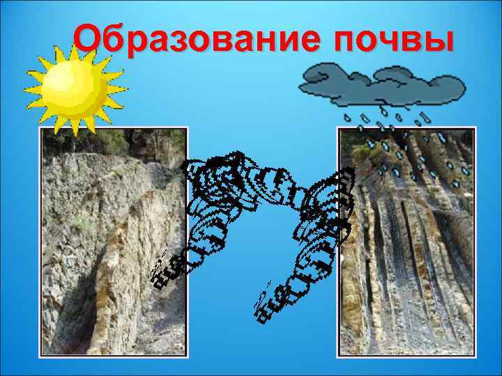 Образование почвы 