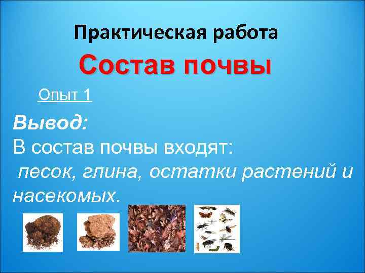 Практическая работа Состав почвы Опыт 1 Вывод: В состав почвы входят: песок, глина, остатки