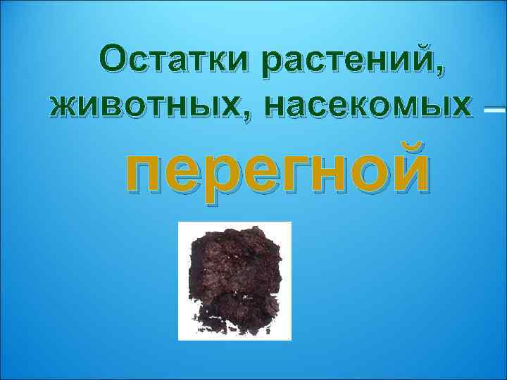 Остатки растений, животных, насекомых – перегной 