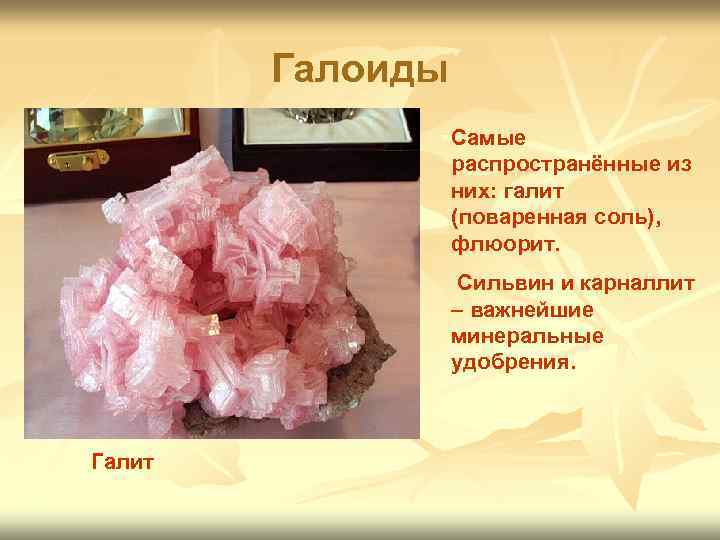 Галоиды Самые распространённые из них: галит (поваренная соль), флюорит. Сильвин и карналлит – важнейшие