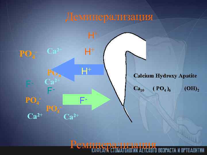 Деминерализация H+ PO 4 - FPO 4 Ca 2+ H+ PO 4 Ca 2+