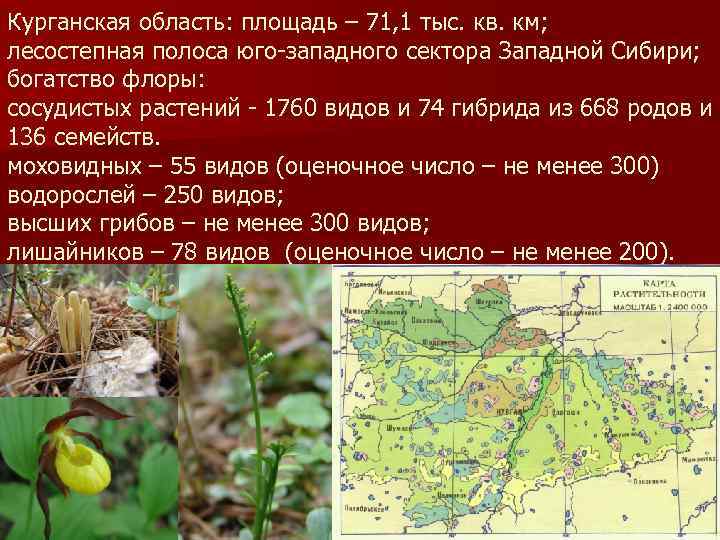 Курганская область: площадь – 71, 1 тыс. кв. км; лесостепная полоса юго-западного сектора Западной