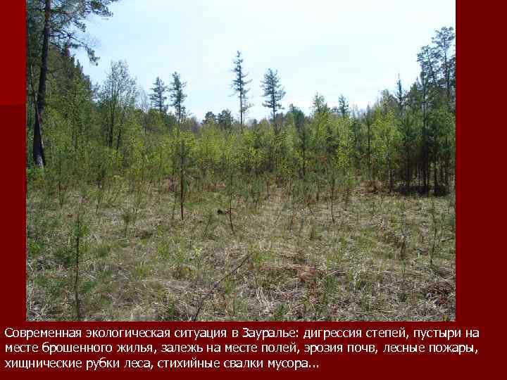 Современная экологическая ситуация в Зауралье: дигрессия степей, пустыри на месте брошенного жилья, залежь на