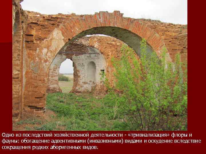 Одно из последствий хозяйственной деятельности - «тривиализация» флоры и фауны: обогащение адвентивными (инвазивными) видами