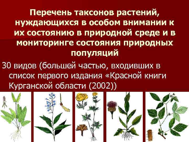 Перечень таксонов растений, нуждающихся в особом внимании к их состоянию в природной среде и