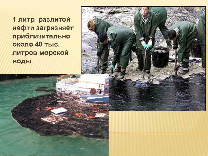 1 литр разлитой нефти загрязняет приблизительно около 40 тыс. литров морской воды 