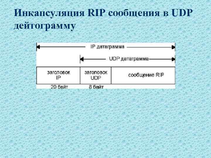 Инкапсуляция RIP сообщения в UDP дейтограмму 