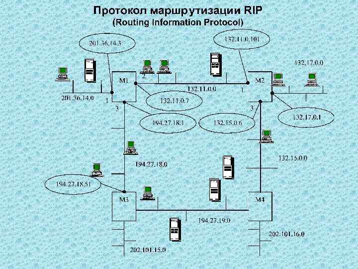 Опишите схему работы протокола rip