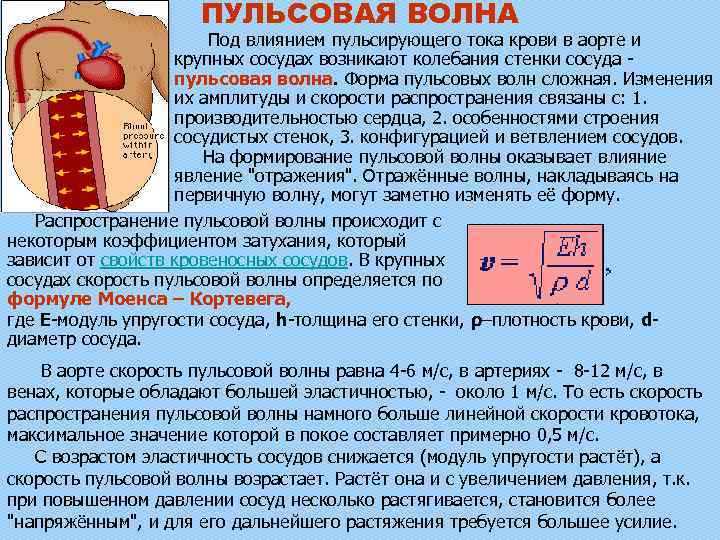 Скорость тока артерии