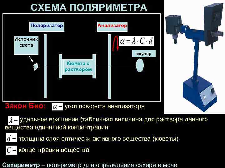 СХЕМА ПОЛЯРИМЕТРА Поляризатор Анализатор Источник света окуляр Кювета с раствором Закон Био: угол поворота