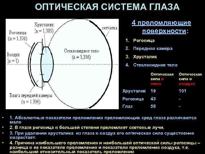 ОПТИЧЕСКАЯ СИСТЕМА ГЛАЗА 4 преломляющие поверхности: 1. Роговица 2. Передняя камера 3. Хрусталик 4.