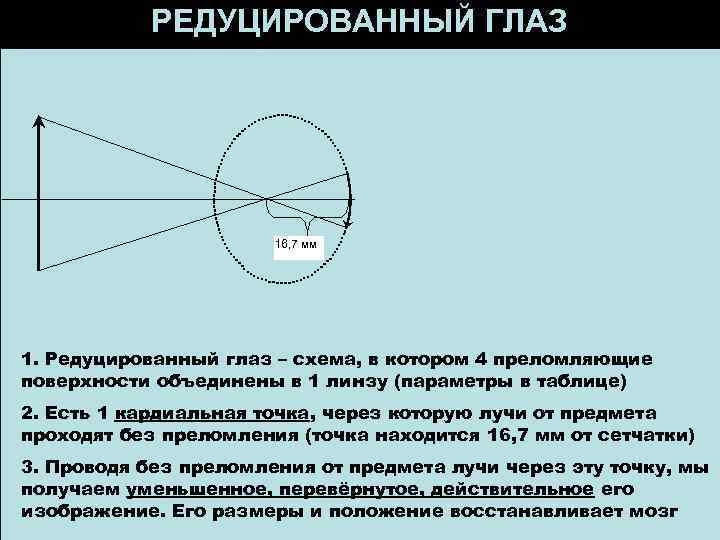 Глаз схема хода лучей. Редуцированный глаз Вербицкого. Редуцированный глаз схема. Приведенный редуцированный глаз. Понятие приведенного глаза.