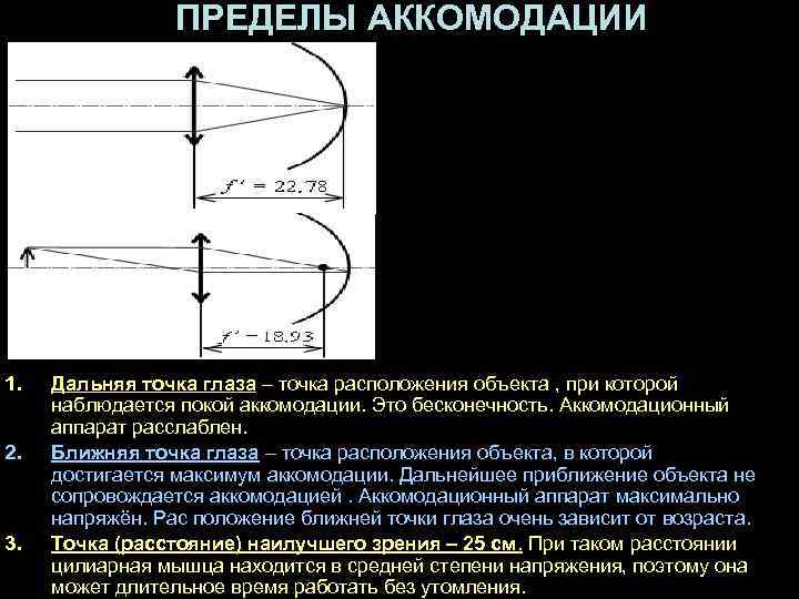 ПРЕДЕЛЫ АККОМОДАЦИИ 1. 2. 3. Дальняя точка глаза – точка расположения объекта , при