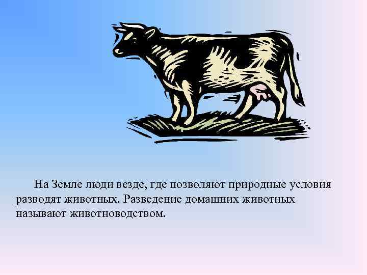 На Земле люди везде, где позволяют природные условия разводят животных. Разведение домашних животных называют