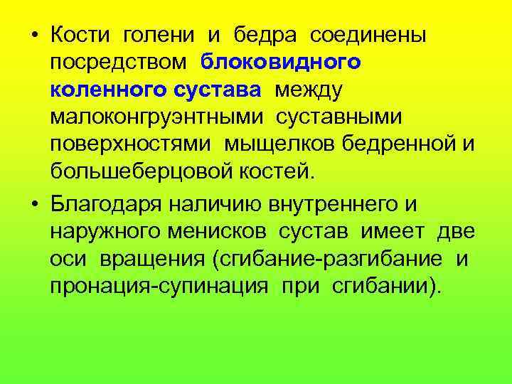  • Кости голени и бедра соединены посредством блоковидного коленного сустава между малоконгруэнтными суставными