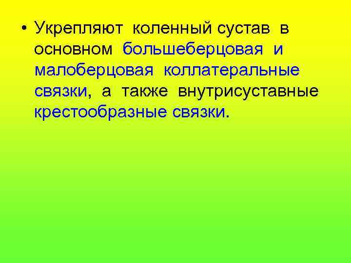  • Укрепляют коленный сустав в основном большеберцовая и малоберцовая коллатеральные связки, а также