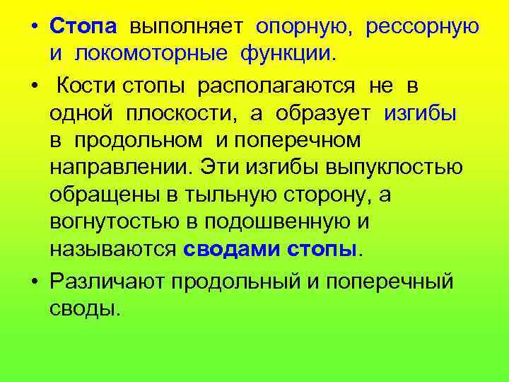  • Стопа выполняет опорную, рессорную и локомоторные функции. • Кости стопы располагаются не