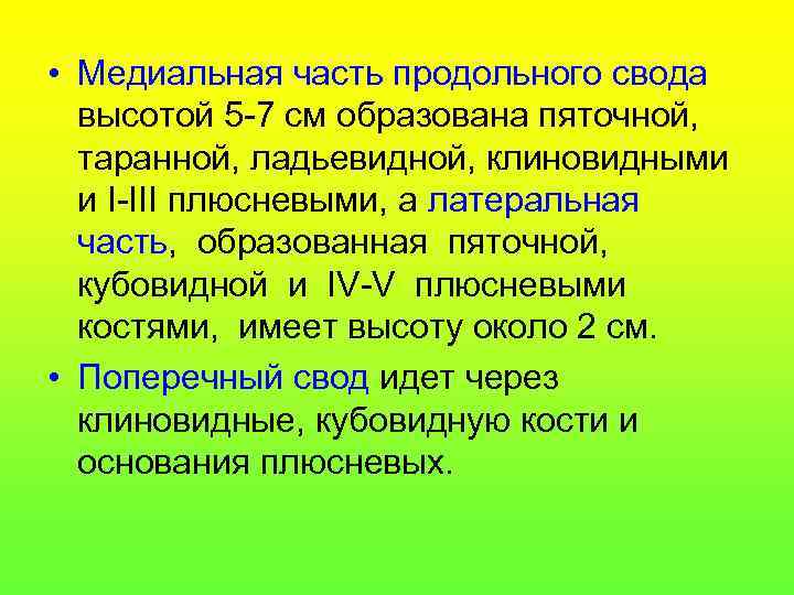  • Медиальная часть продольного свода высотой 5 -7 см образована пяточной, таранной, ладьевидной,