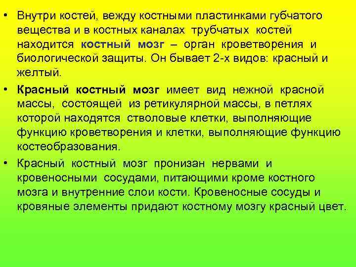  • Внутри костей, вежду костными пластинками губчатого вещества и в костных каналах трубчатых