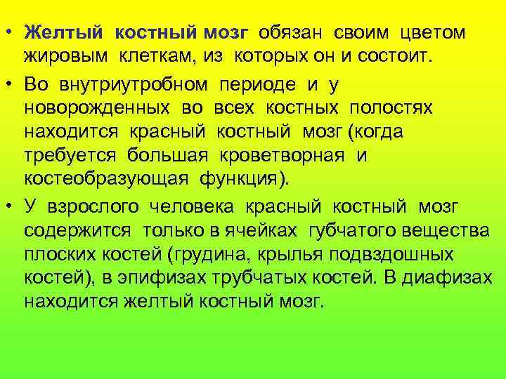  • Желтый костный мозг обязан своим цветом жировым клеткам, из которых он и