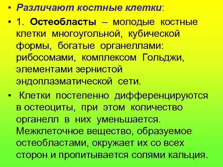  • Различают костные клетки: • 1. Остеобласты – молодые костные клетки многоугольной, кубической