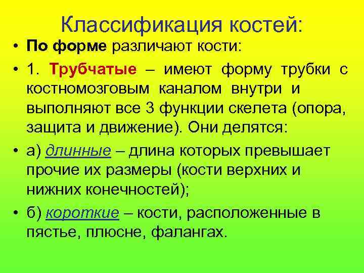 Классификация костей: • По форме различают кости: • 1. Трубчатые – имеют форму трубки