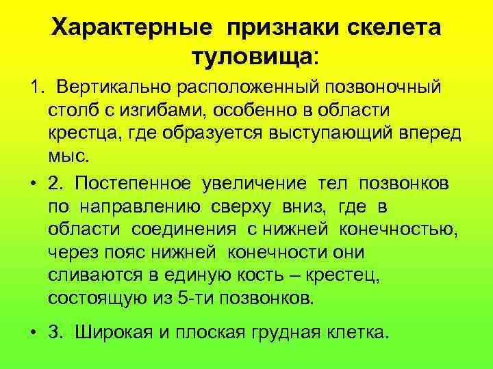 Характерные признаки скелета туловища: 1. Вертикально расположенный позвоночный столб с изгибами, особенно в области
