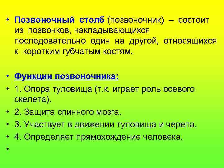  • Позвоночный столб (позвоночник) – состоит из позвонков, накладывающихся последовательно один на другой,