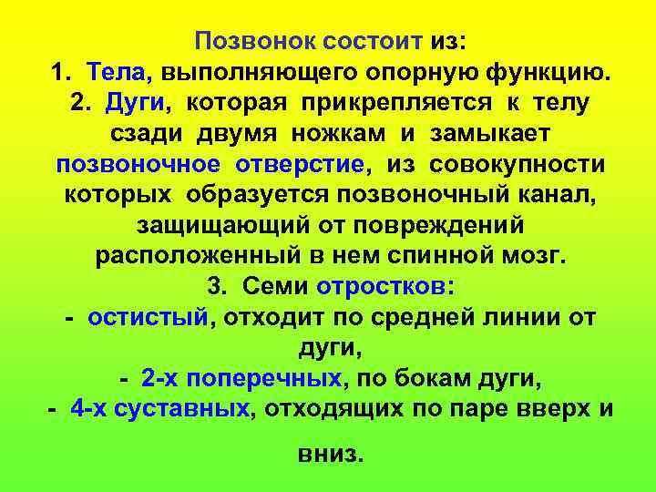 Позвонок состоит из: 1. Тела, выполняющего опорную функцию. 2. Дуги, которая прикрепляется к телу