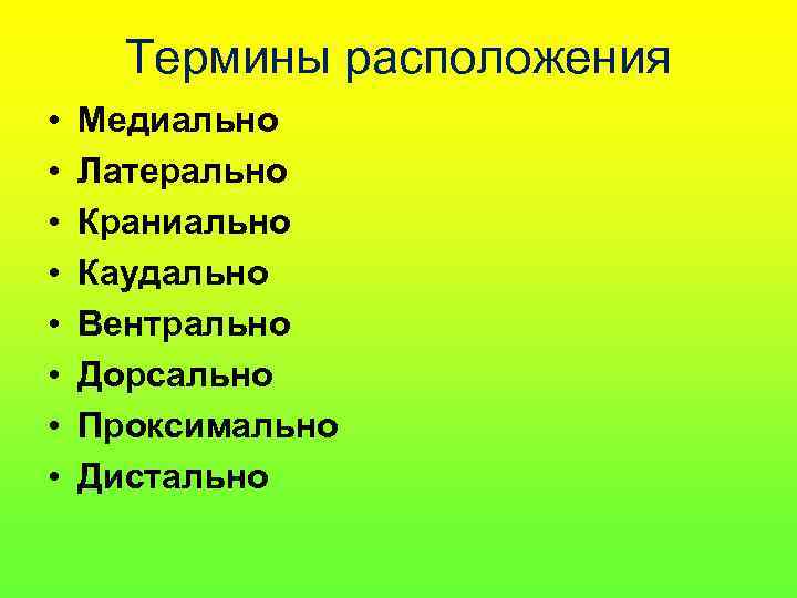 Термины расположения • • Медиально Латерально Краниально Каудально Вентрально Дорсально Проксимально Дистально 