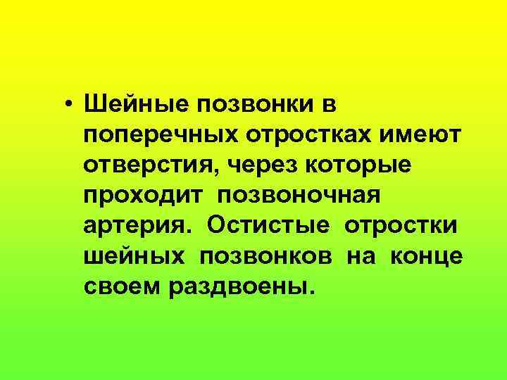  • Шейные позвонки в поперечных отростках имеют отверстия, через которые проходит позвоночная артерия.