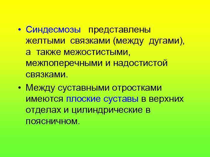  • Синдесмозы представлены желтыми связками (между дугами), а также межостистыми, межпоперечными и надостистой