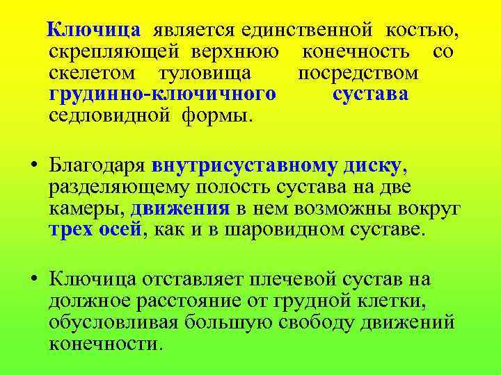 Ключица является единственной костью, скрепляющей верхнюю конечность со скелетом туловища посредством грудинно-ключичного сустава седловидной