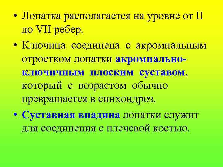  • Лопатка располагается на уровне от II до VII ребер. • Ключица соединена