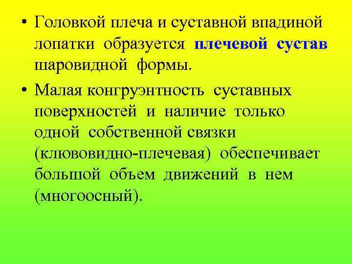  • Головкой плеча и суставной впадиной лопатки образуется плечевой сустав шаровидной формы. •