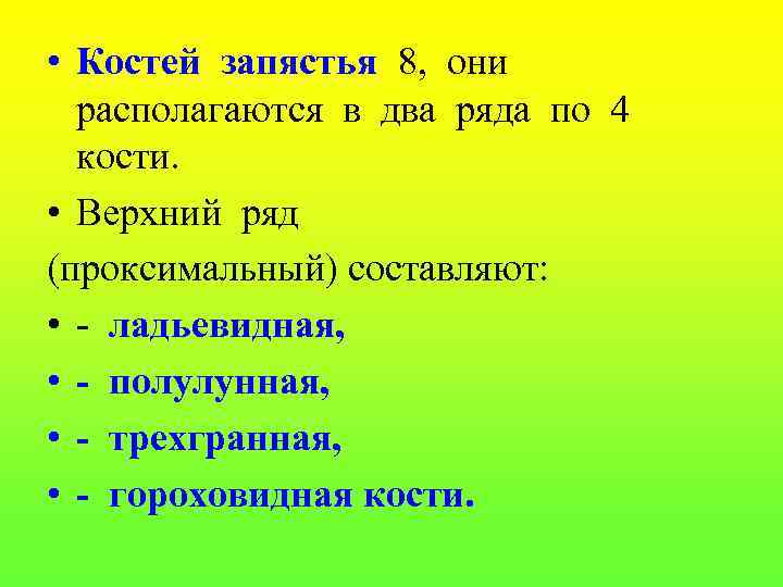  • Костей запястья 8, они располагаются в два ряда по 4 кости. •