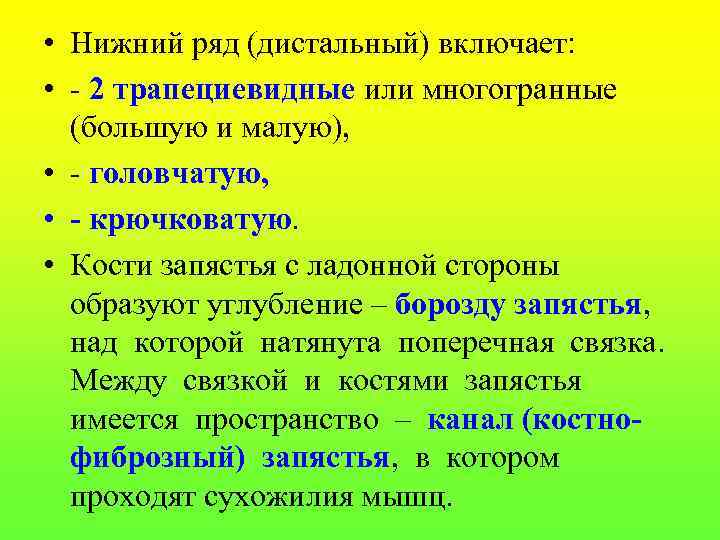  • Нижний ряд (дистальный) включает: • - 2 трапециевидные или многогранные (большую и