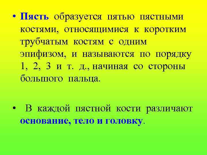  • Пясть образуется пятью пястными костями, относящимися к коротким трубчатым костям с одним