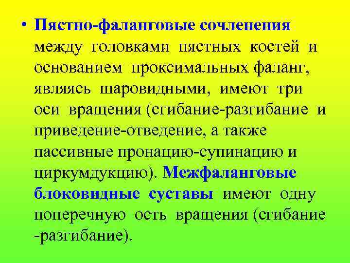  • Пястно-фаланговые сочленения между головками пястных костей и основанием проксимальных фаланг, являясь шаровидными,