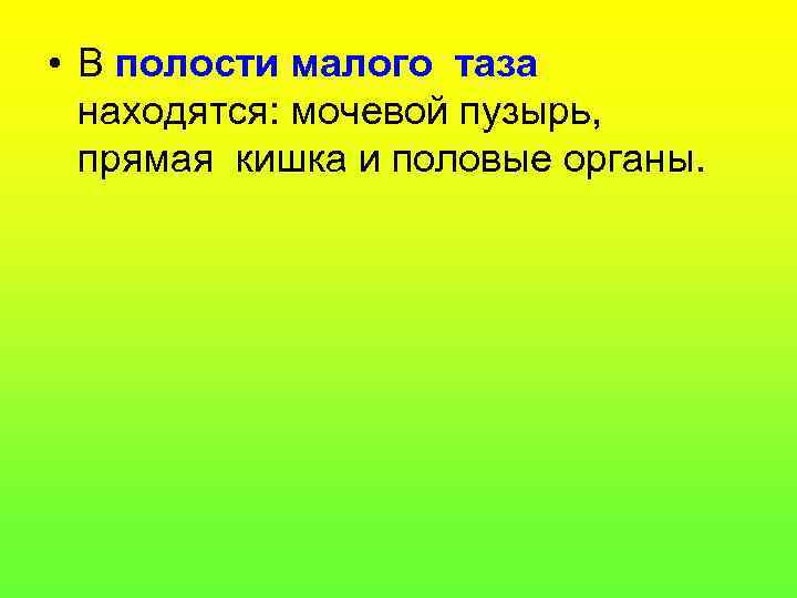 • В полости малого таза находятся: мочевой пузырь, прямая кишка и половые органы.