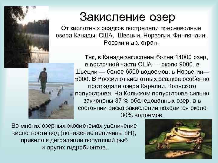 Закисление озер От кислотных осадков пострадали пресноводные озера Канады, США, Швеции, Норвегии, Финляндии, России