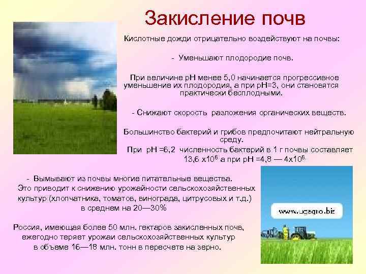 Закисление почв Кислотные дожди отрицательно воздействуют на почвы: - Уменьшают плодородие почв. При величине
