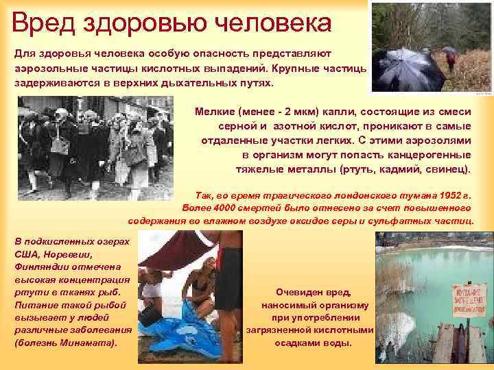 Вред здоровью человека Для здоровья человека особую опасность представляют аэрозольные частицы кислотных выпадений. Крупные