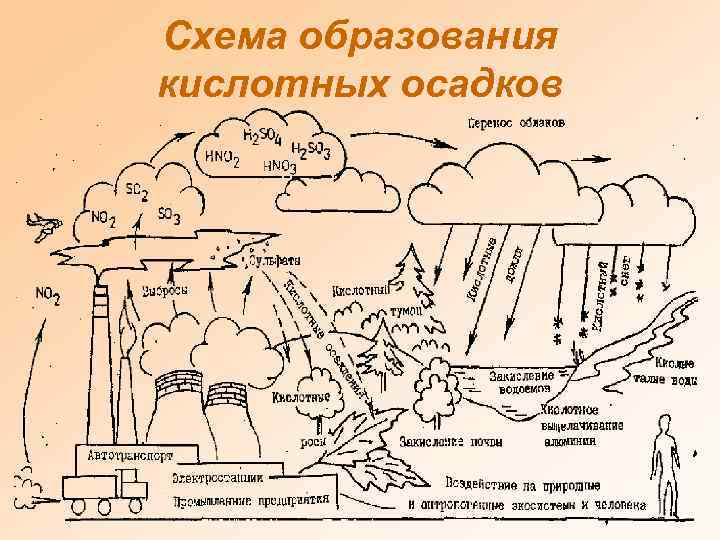 Схема образования кислотных осадков 