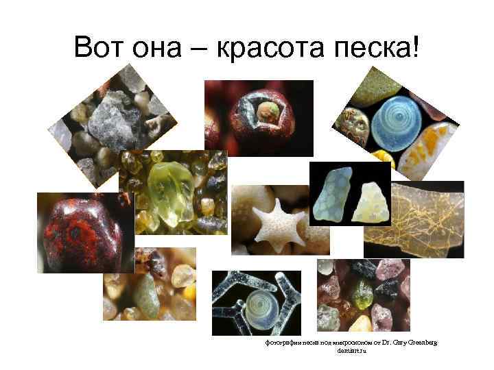 Вот она – красота песка! фотографии песка под микроскопом от Dr. Gary Greenberg demiart.