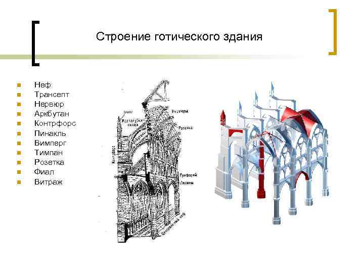 Схема контрфорсов анатомия