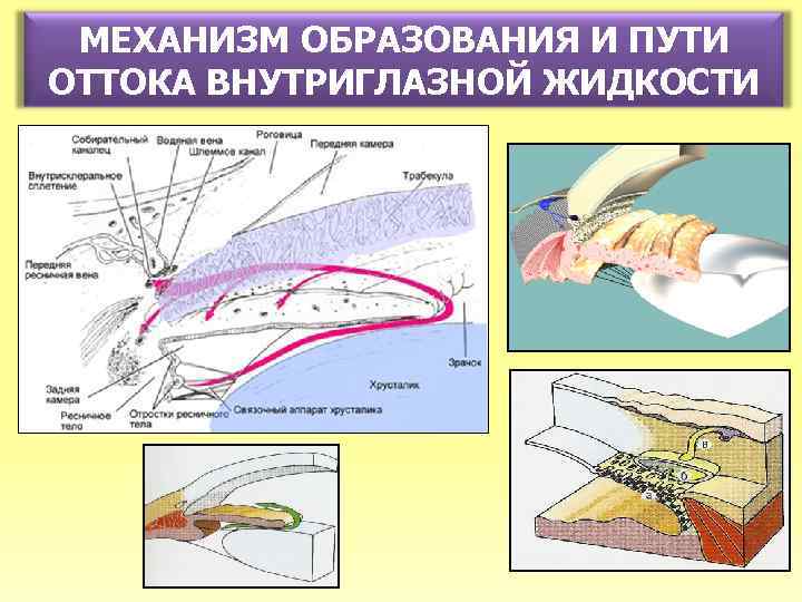 МЕХАНИЗМ ОБРАЗОВАНИЯ И ПУТИ ОТТОКА ВНУТРИГЛАЗНОЙ ЖИДКОСТИ 