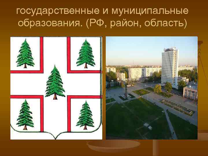 государственные и муниципальные образования. (РФ, район, область) 