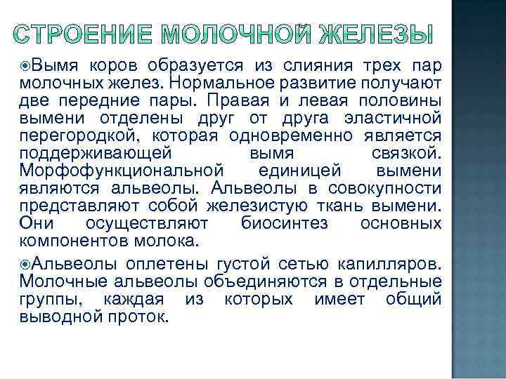  Вымя коров образуется из слияния трех пар молочных желез. Нормальное развитие получают две